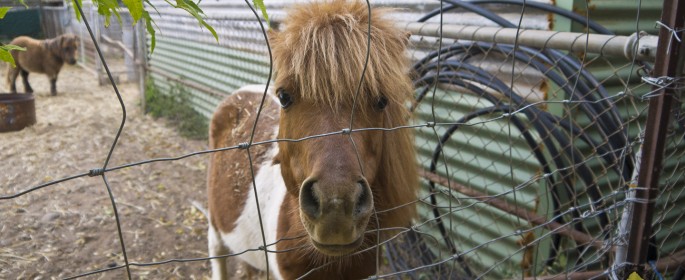 featured image 20120917_8707