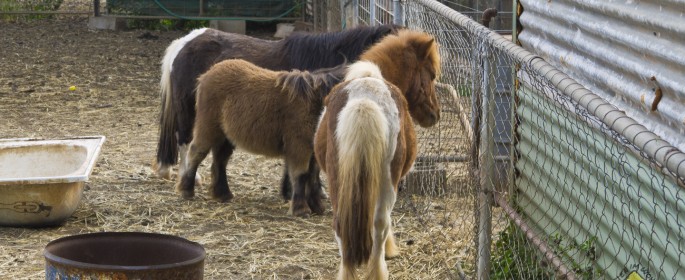 featured image 20120917_8713