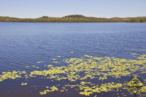 Lake Belmore