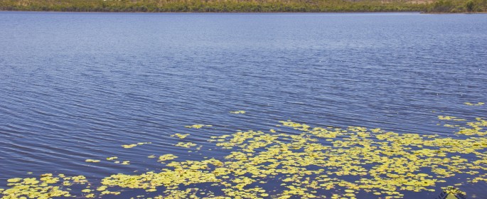 featured image Lake Belmore