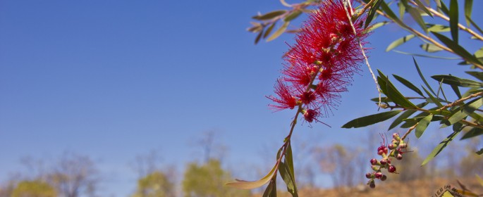 featured image 20120918_8129