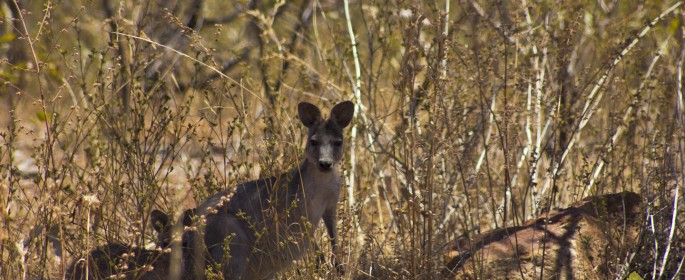 featured image 20120918_8217