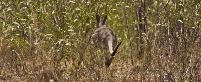 featured image Nee, ich geh jetzt.