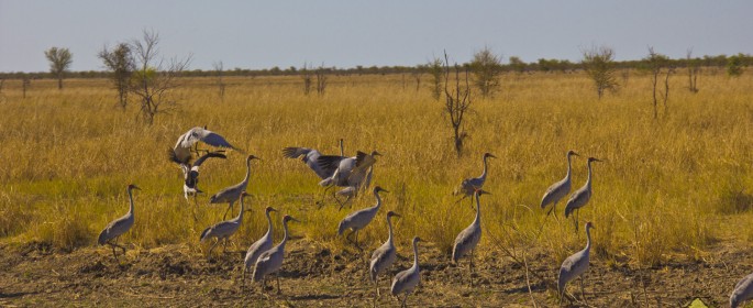 featured image 20120918_8287