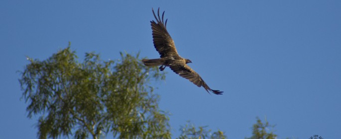 featured image 20120918_8373