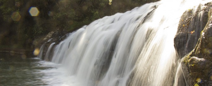 featured image IMG_2657