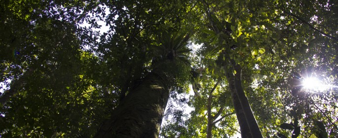 featured image IMG_2691