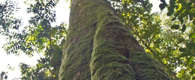 featured image IMG_2696