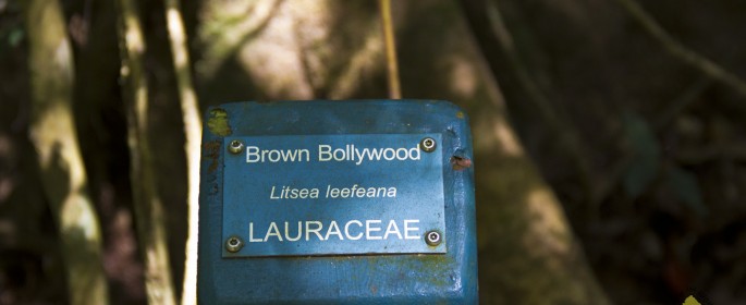 featured image IMG_2697