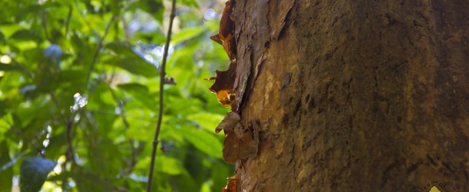 featured image IMG_2698