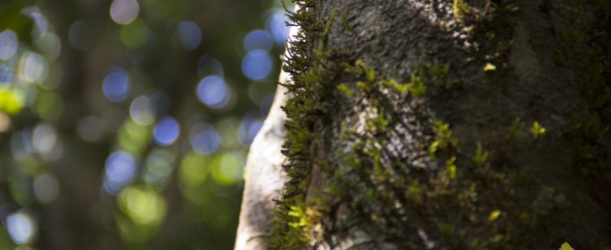 featured image IMG_2709