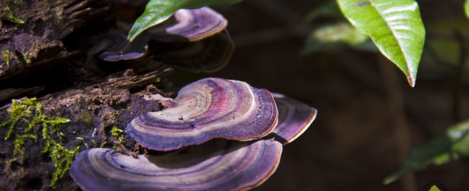 featured image IMG_2711