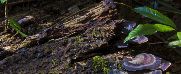 featured image IMG_2713