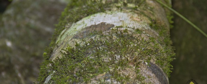 featured image IMG_2714