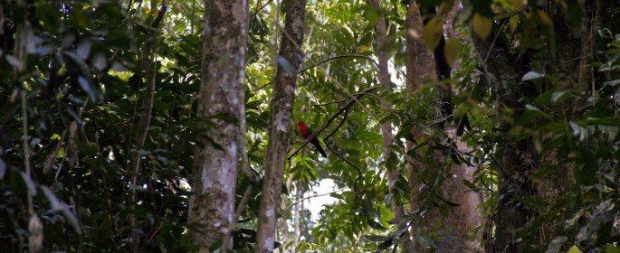 featured image IMG_2716