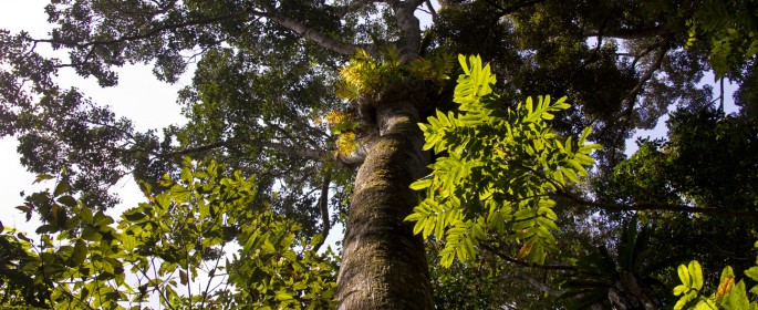 featured image IMG_2718