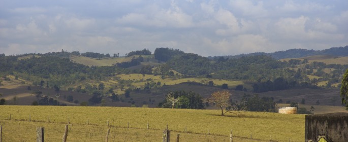 featured image IMG_2730