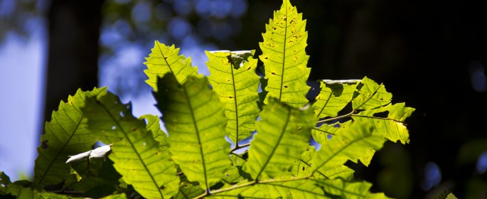 featured image IMG_2740