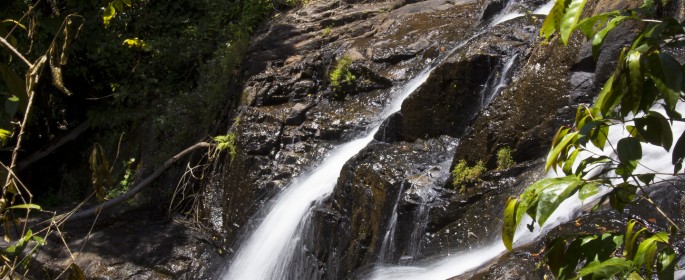 featured image IMG_2746