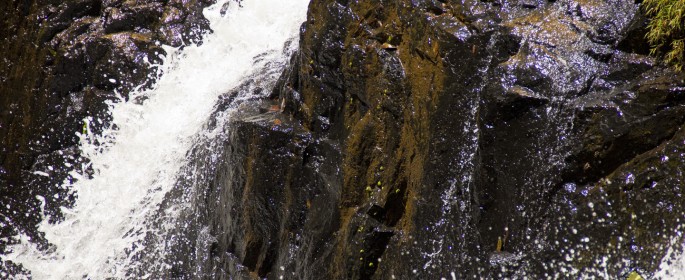 featured image IMG_2753