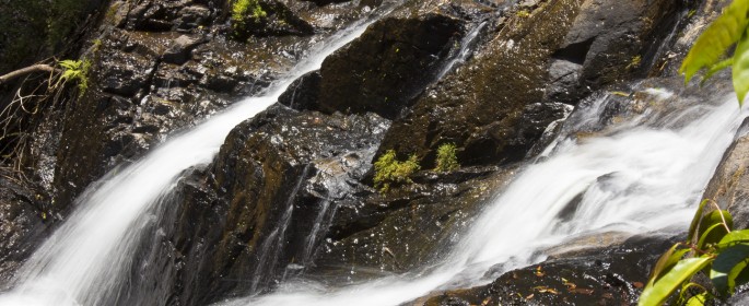 featured image IMG_2757