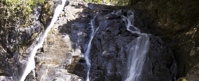 featured image IMG_2776