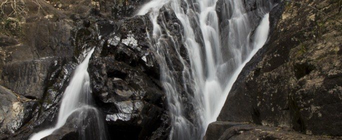 featured image IMG_2802