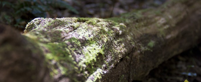 featured image IMG_2816