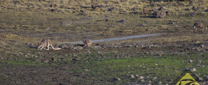 featured image IMG_3288