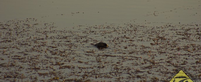 featured image IMG_3300