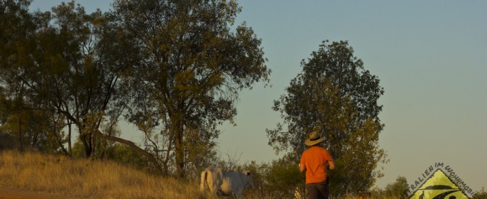 featured image IMG_3364