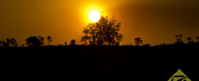 featured image IMG_3379