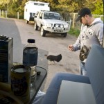 Morgens besucht uns ein Truthahn oder sowas zum Frühstück