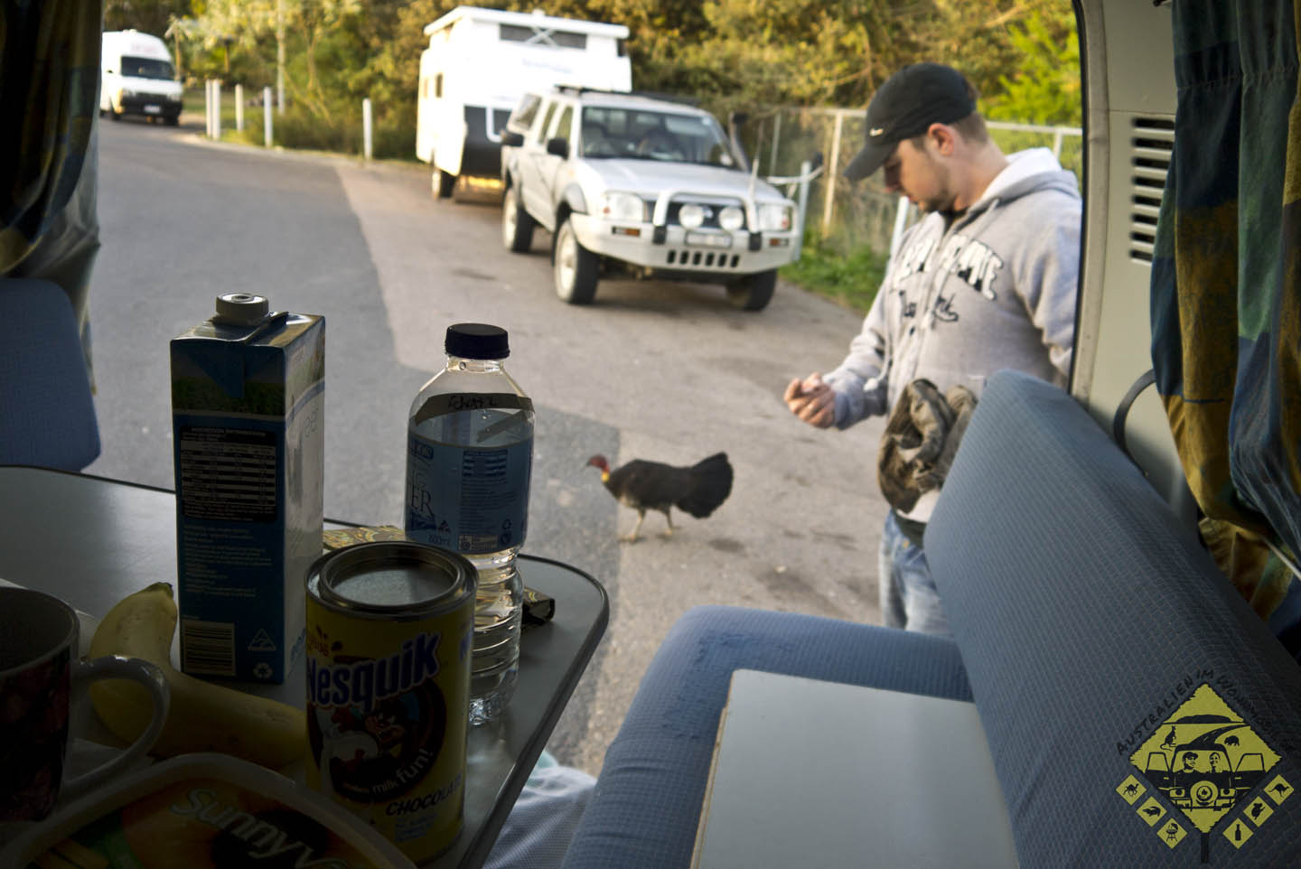 featured image Morgens besucht uns ein Truthahn oder sowas zum Frühstück