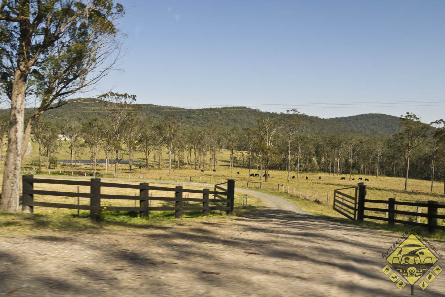 featured image P1010922