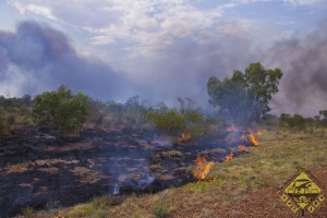 Feuer direkt neben der Straße