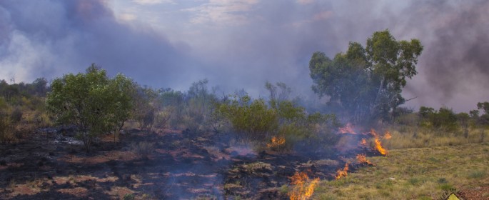 featured image Feuer direkt neben der Straße