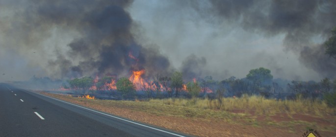 featured image 20120922_9361