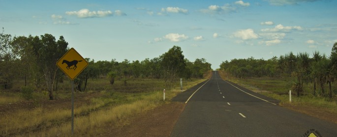 featured image IMG_0085