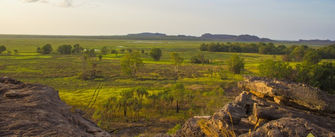 featured image IMG_0198