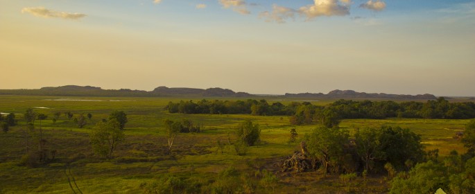 featured image IMG_0209