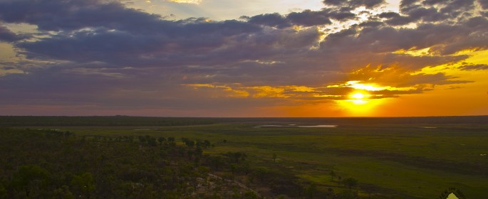 featured image IMG_0306