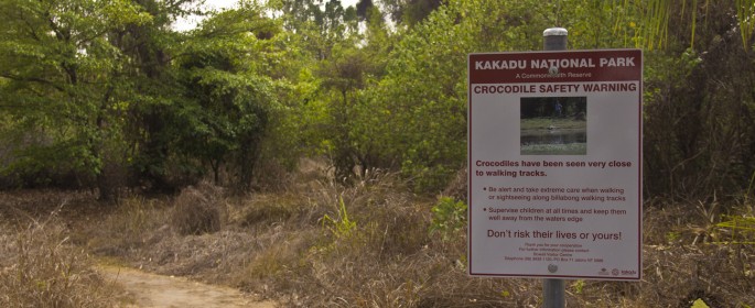 featured image IMG_0360