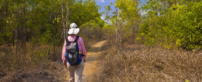 featured image IMG_0400