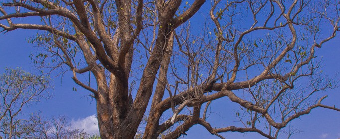 featured image IMG_0424