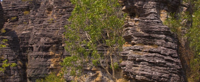 featured image IMG_0465