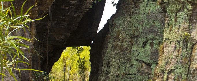 featured image IMG_0467