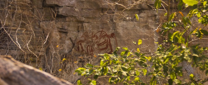 featured image IMG_0505