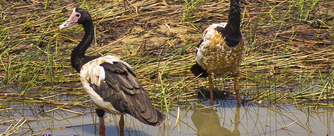 featured image IMG_0607