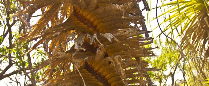 featured image IMG_0618